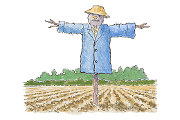 手绘插图农地稻草人