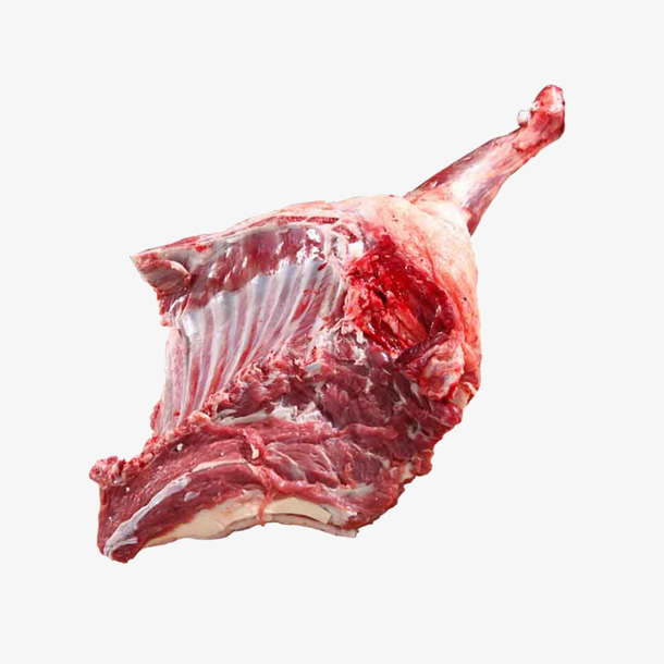 一大块羊肉设计素材