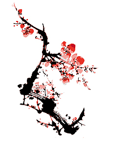 腊梅素材