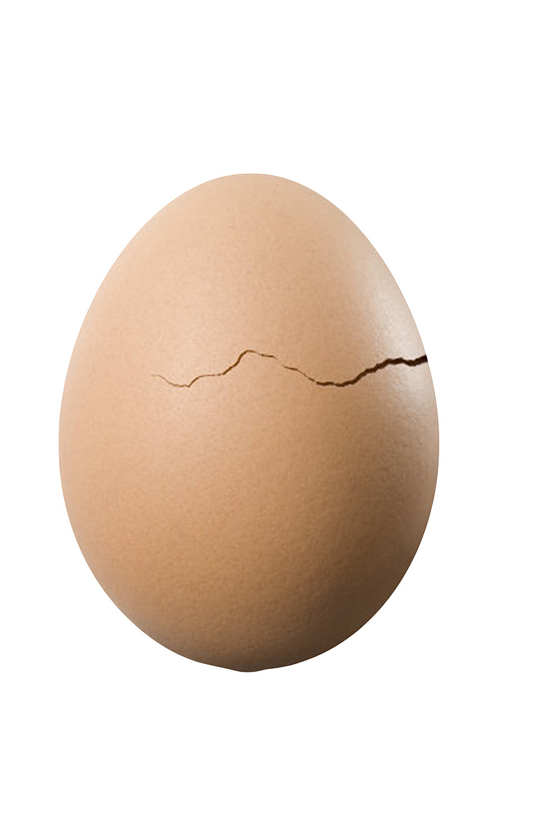 褐色鸡蛋带裂纹的初生蛋实物