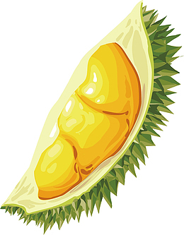 矢量图块状菠萝蜜