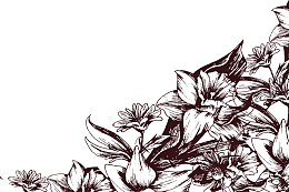 手绘线描花卉装饰