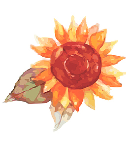 手绘水彩写意太阳花