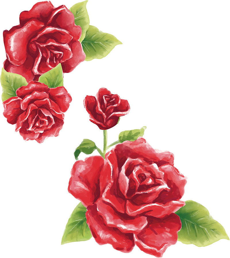 矢量图红色玫瑰花