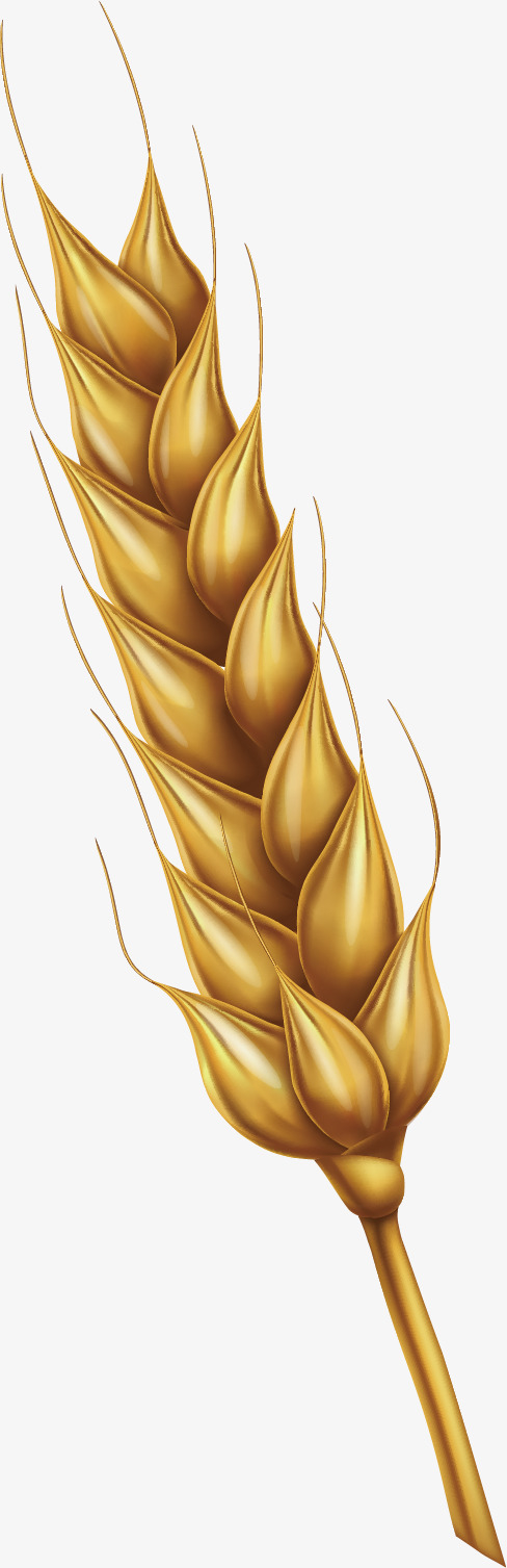 卡通稻穗矢量图下载