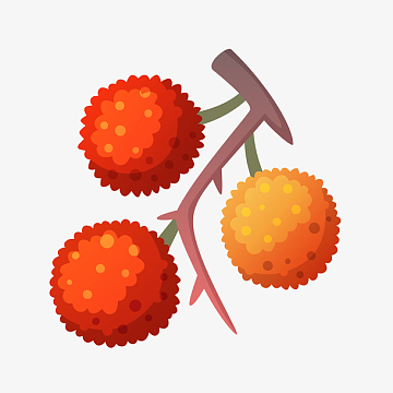 卡通荔枝矢量图下载