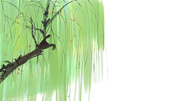 手绘中国画水墨清新淡雅插图柳树