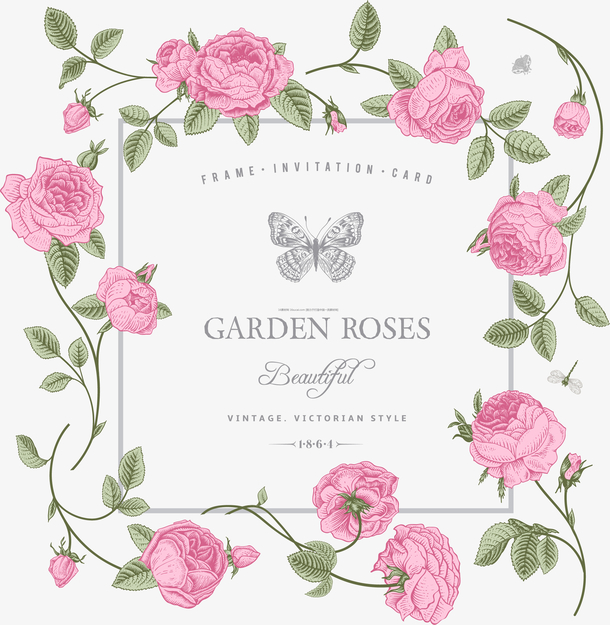 彩色花纹边框图片