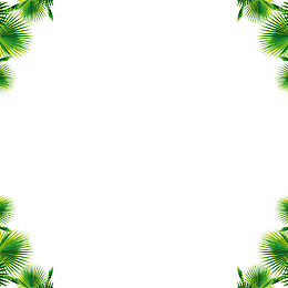 绿色植物边框