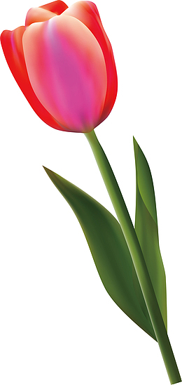 郁金香花环矢量郁金香