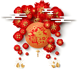 中国风花纹猪年装饰图案