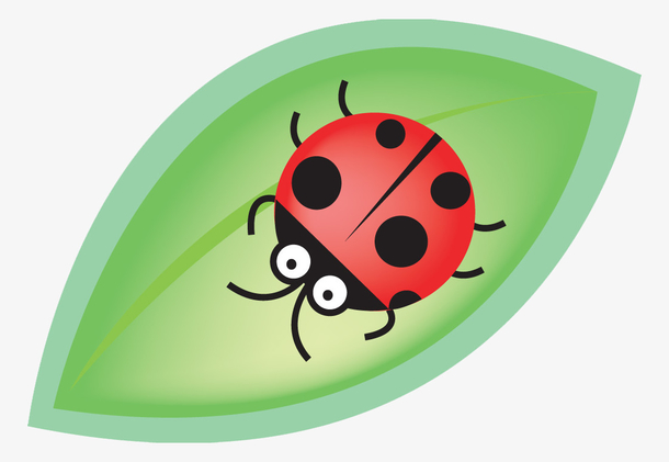 卡通七星瓢虫