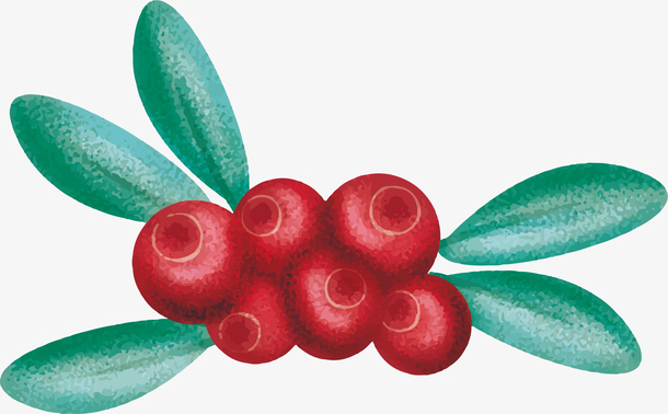 水彩画矢量卡通蔓越莓