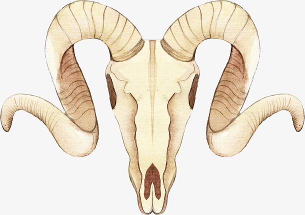 关键词 : 手绘,插画,宗教,牛头,牛角,公牛,卡通牛头,骨头[声明] 觅