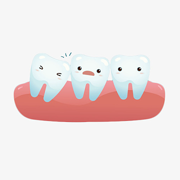 卡通可爱的智齿和其他磨牙插画免