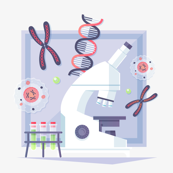 生物研究插画设计