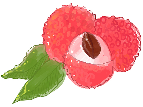 粉红色手绘迷你荔枝