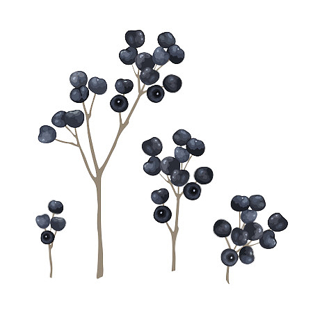 手绘创意蓝莓水果免抠图