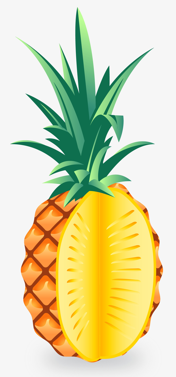 凤梨卡通矢量菠萝