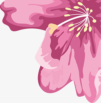 杜鹃花卉装饰图案png花蕊矢量卡通风格杜鹃花epspng粉色杜鹃花插花瓶