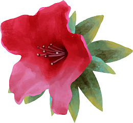红色画作矢量杜鹃花