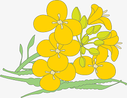 手绘油菜花景象pngepspng花环矢量卡通风格pngaipng卡通白菜矢量图