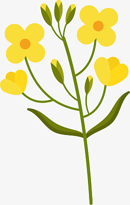 卡通油菜素材_卡通油菜png图片下载_觅元素
