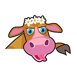 黄牛头上的花朵