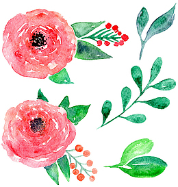 水粉画花朵