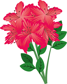 花簇矢量红色杜鹃花