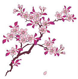 矢量樱花