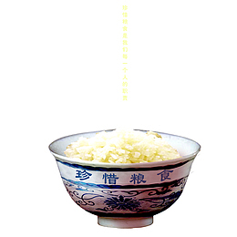 珍惜粮食拒绝浪费
