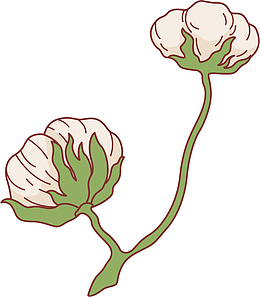 白色线条描边纯棉花