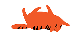 撒娇的猫咪
