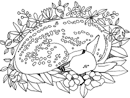 秘密花园填色游戏样式花纹装饰