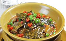 美味甲鱼其味无穷