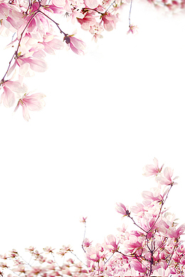 小清新粉色花朵边框