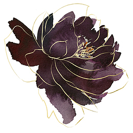 手绘水彩深色鎏金花朵