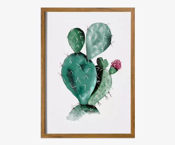小清新仙人掌家居装饰画