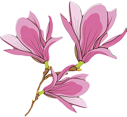 红色带香味三分支的玉兰花瓣卡通