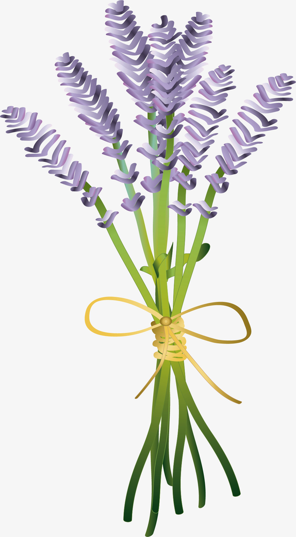 紫色浅色卡通薰衣草