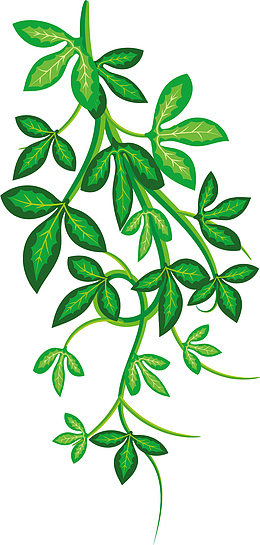 藤蔓矢量卡通风格