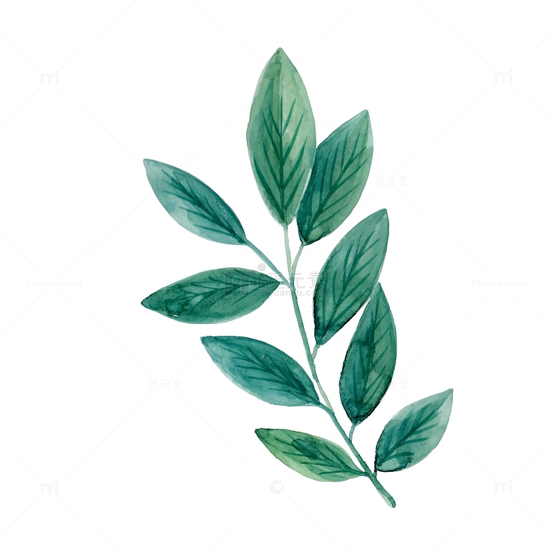 绿色水墨创意植物元素