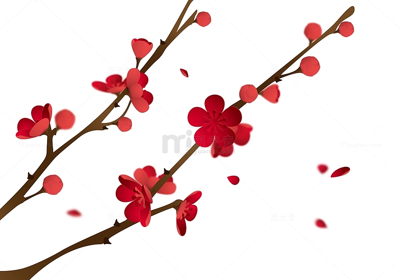 红色的梅花和树枝