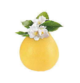 柚子和花