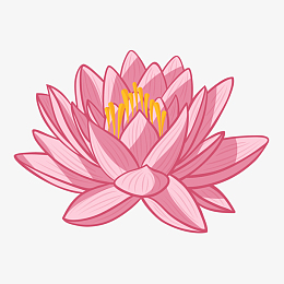 莲花pngpng速写荷花线稿pngpng古风画荷花pngpng线稿荷花儿pngpngpng