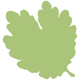 浅绿色的卡通叶子