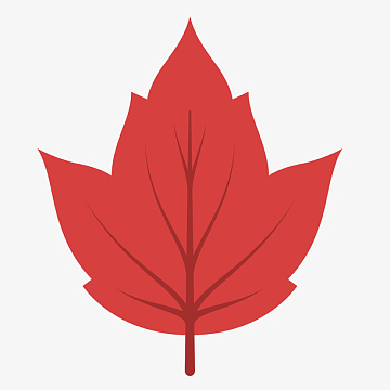 一片扁平化的卡通叶子aipng一堆茶叶图片jpg一片水红色枫叶jpg一碗