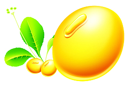 黄豆叶子