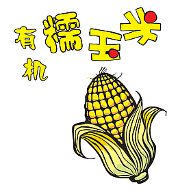 有机糯玉米